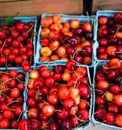 🥕 Crops & Produce