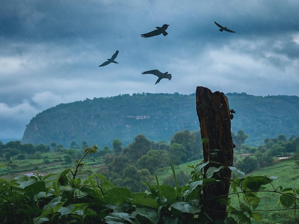 Sergoit Hills, Uasin Gishu County, Eldoret